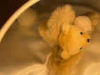 Cuddle Bear Teddy Claw Clips