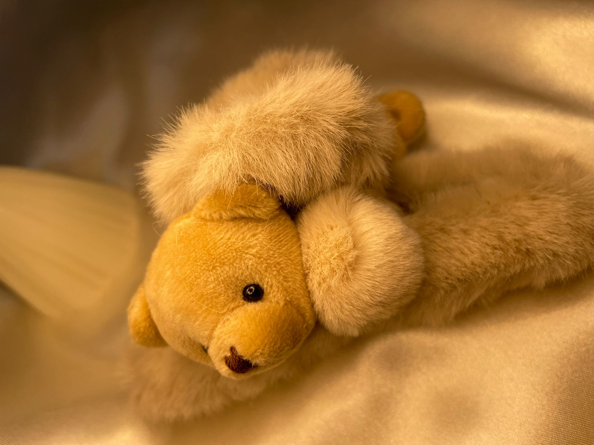 Cuddle Bear Teddy Claw Clips