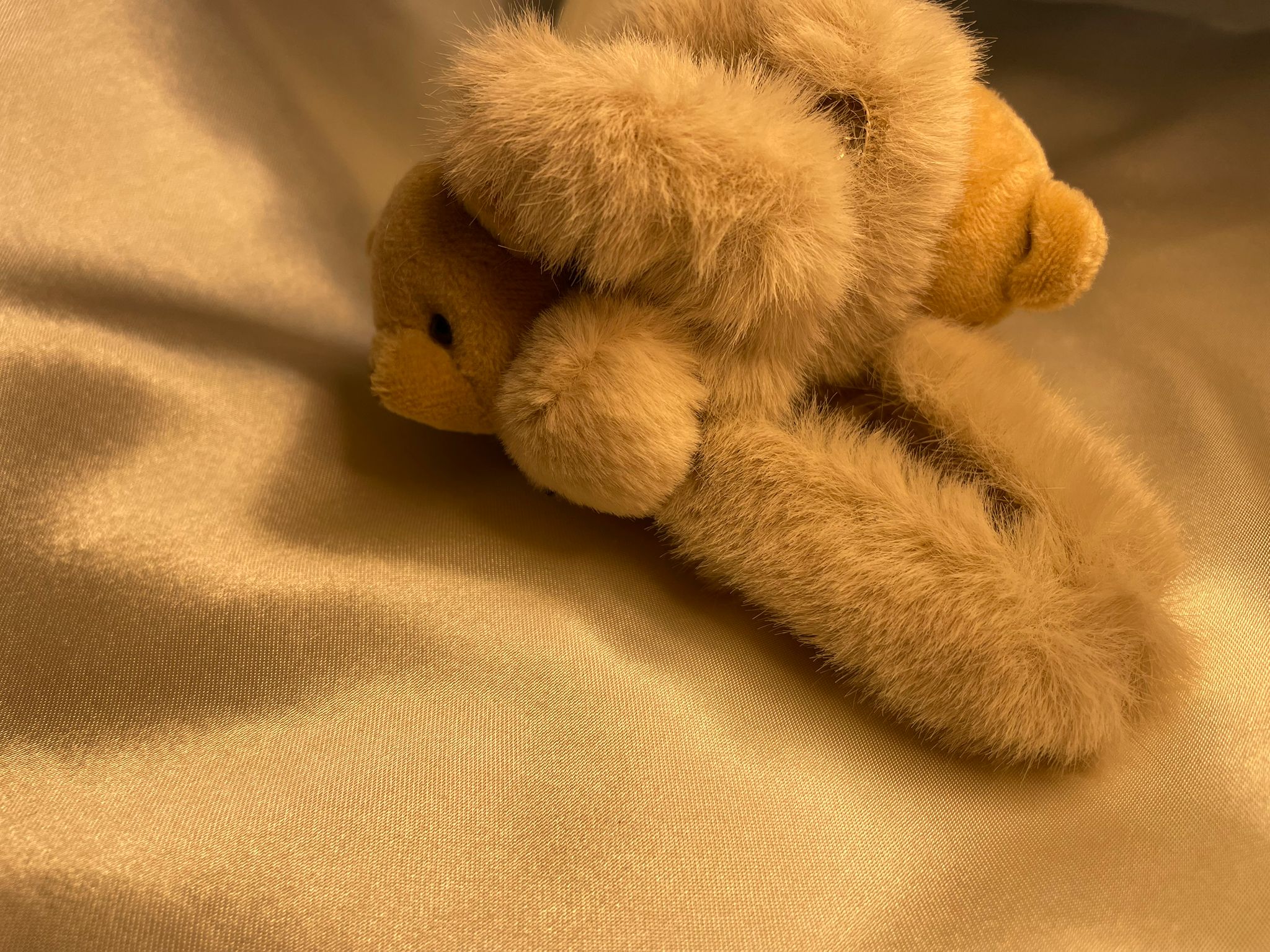 Cuddle Bear Teddy Claw Clips