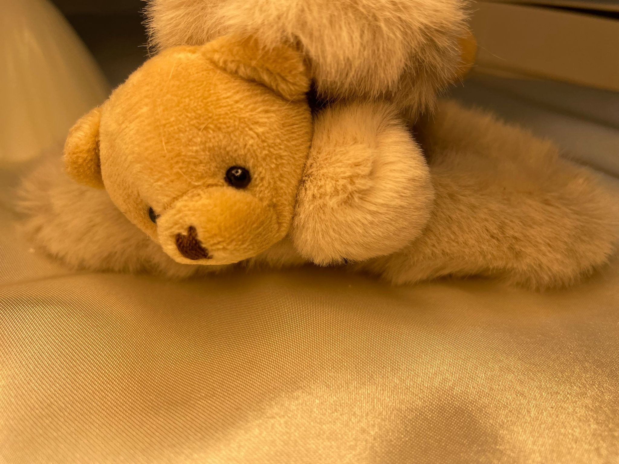 Cuddle Bear Teddy Claw Clips