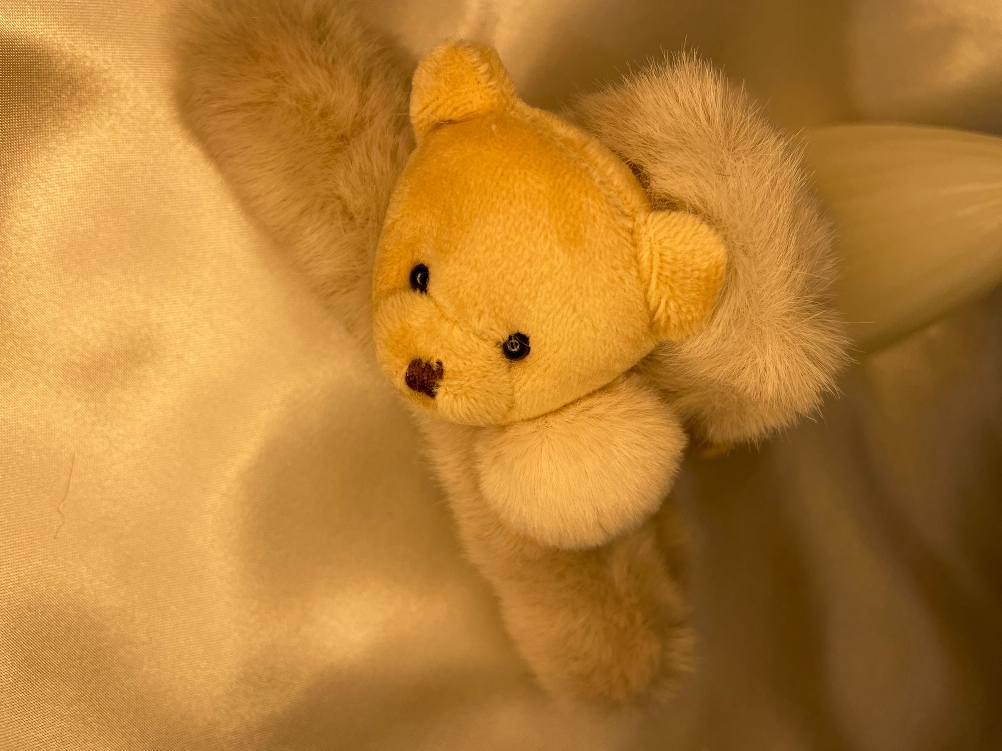 Cuddle Bear Teddy Claw Clips