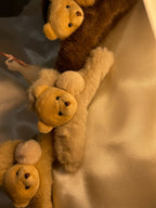 Cuddle Bear Teddy Claw Clips