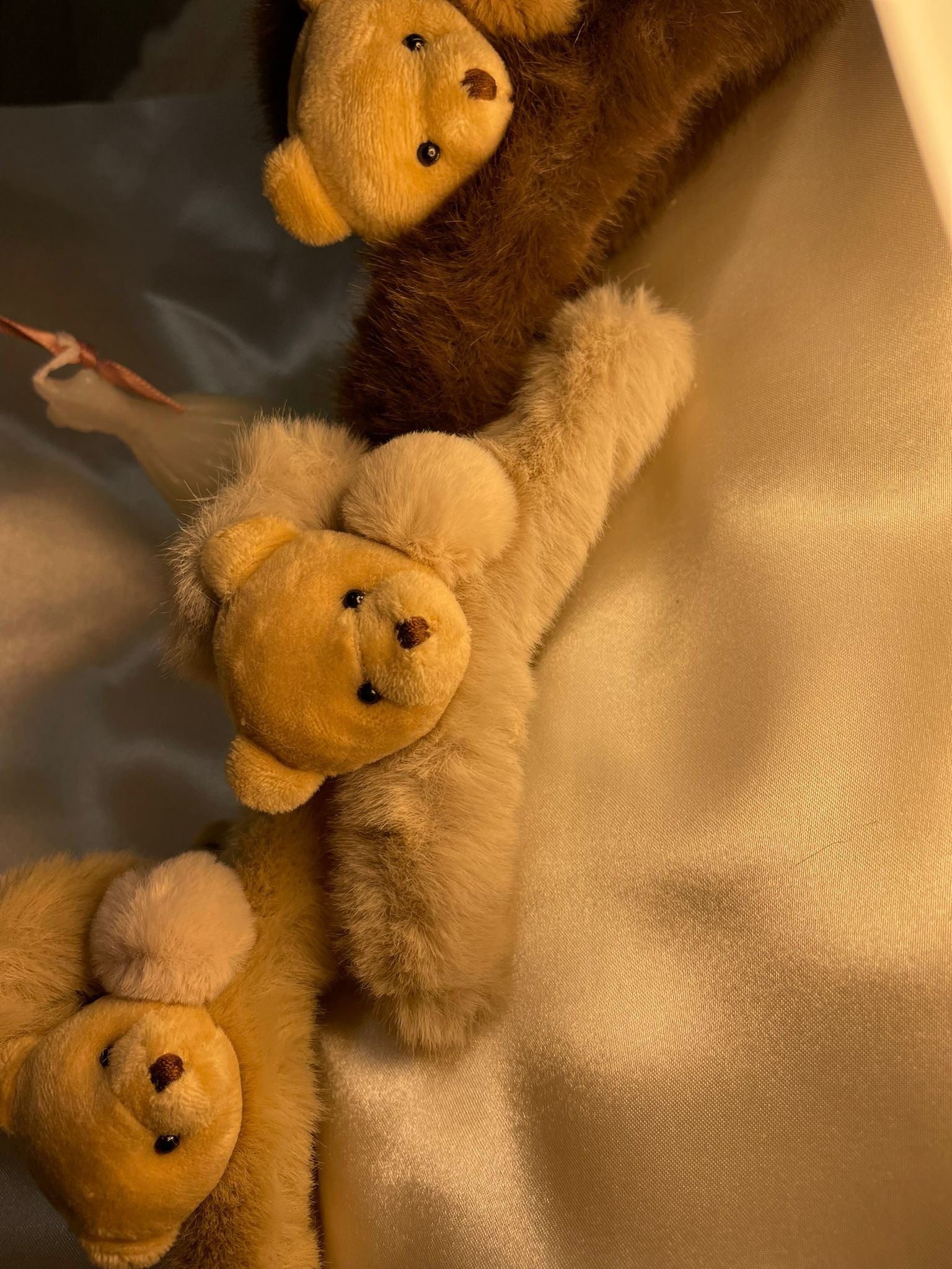 Cuddle Bear Teddy Claw Clips