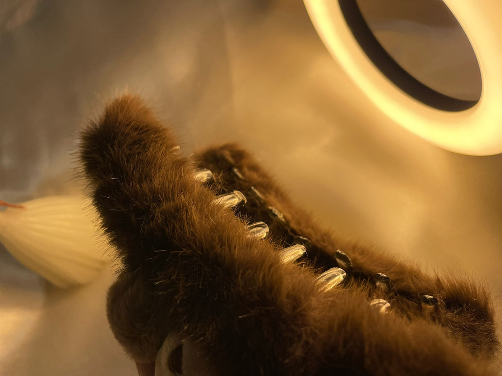 Cuddle Bear Teddy Claw Clips