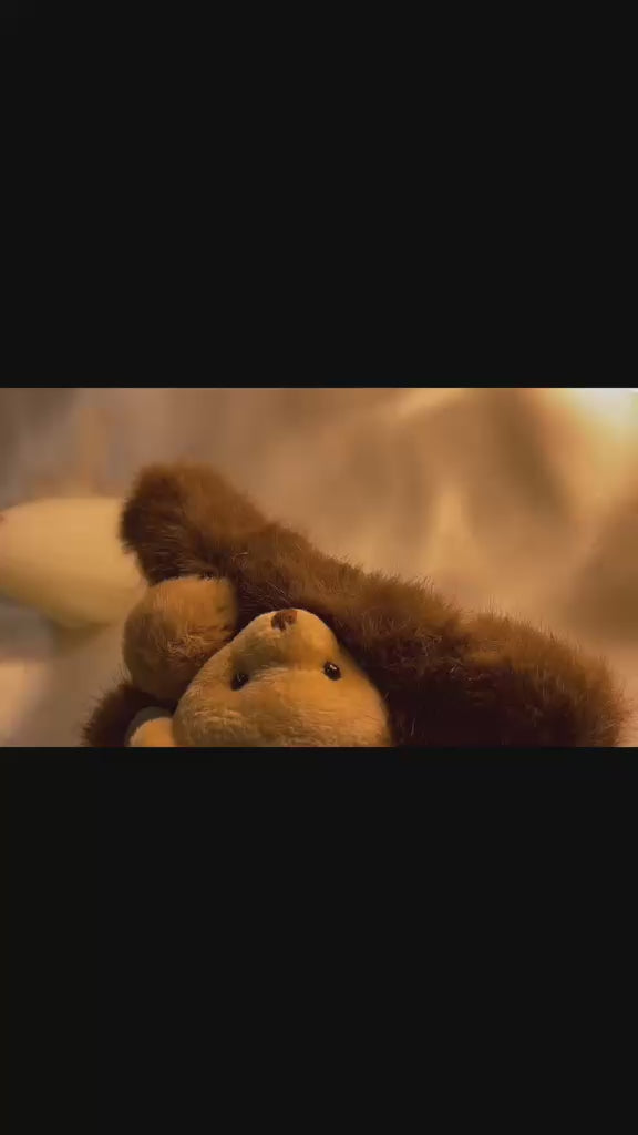 Cuddle Bear Teddy Claw Clips